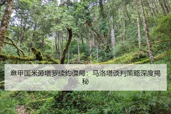 yi-jia-guo-mi-lao-ta-luo-xu-yue-jiang-ju-ma-luo-ta-tan-pan-ce-lve-shen-du-jie-mi-2-792.jpg