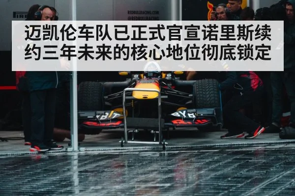 Formula 1 pit stop