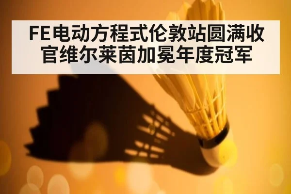 FE电动方程式伦敦站圆满收官维尔莱茵加冕年度冠军