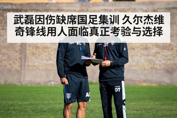 武磊因伤缺席国足集训 久尔杰维奇锋线用人面临真正考验与选择